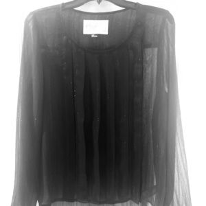 Sheer pleated blouse